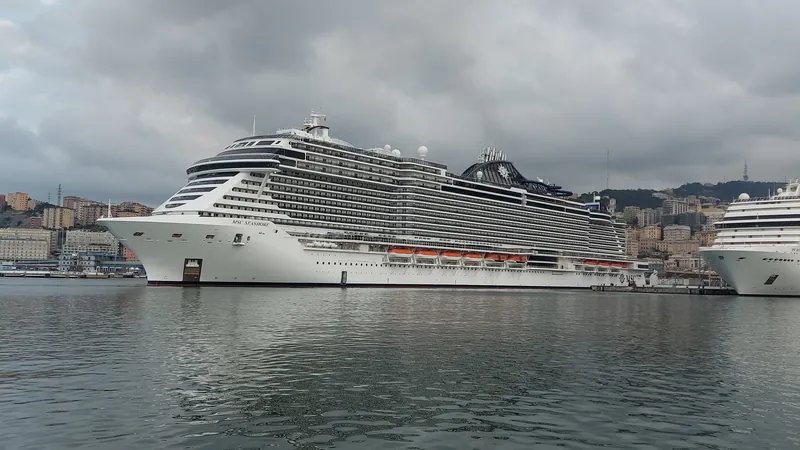 Msc seashore