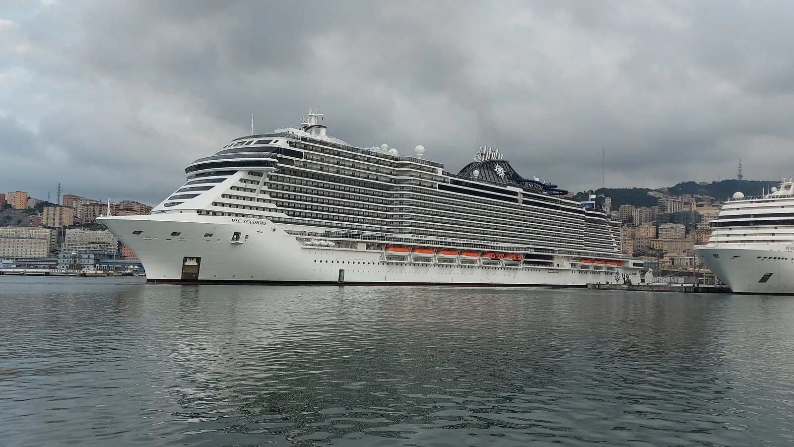 Msc seashore