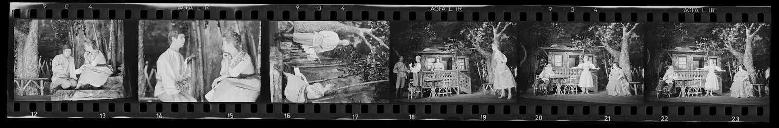 La petite Datcha - btv1b106030474 (43 of 61)